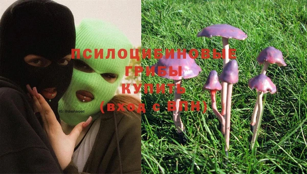 кристаллы Абаза
